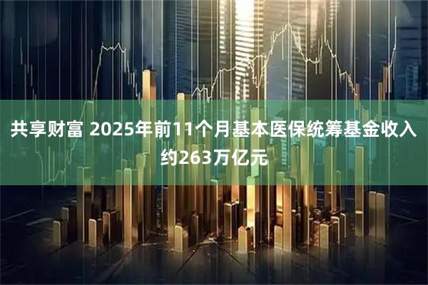 共享财富 2025年前11个月基本医保统筹基金收入约263万亿元